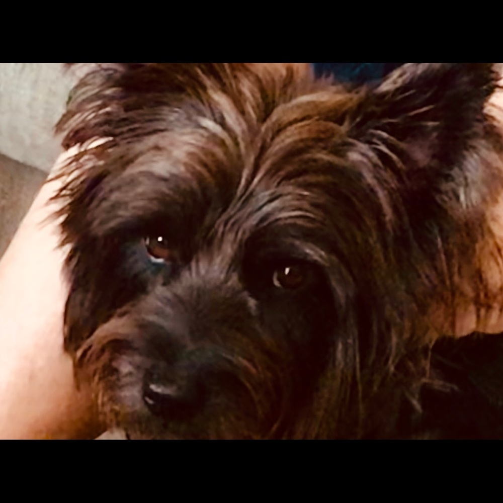 Meet your Posher, Beatrice